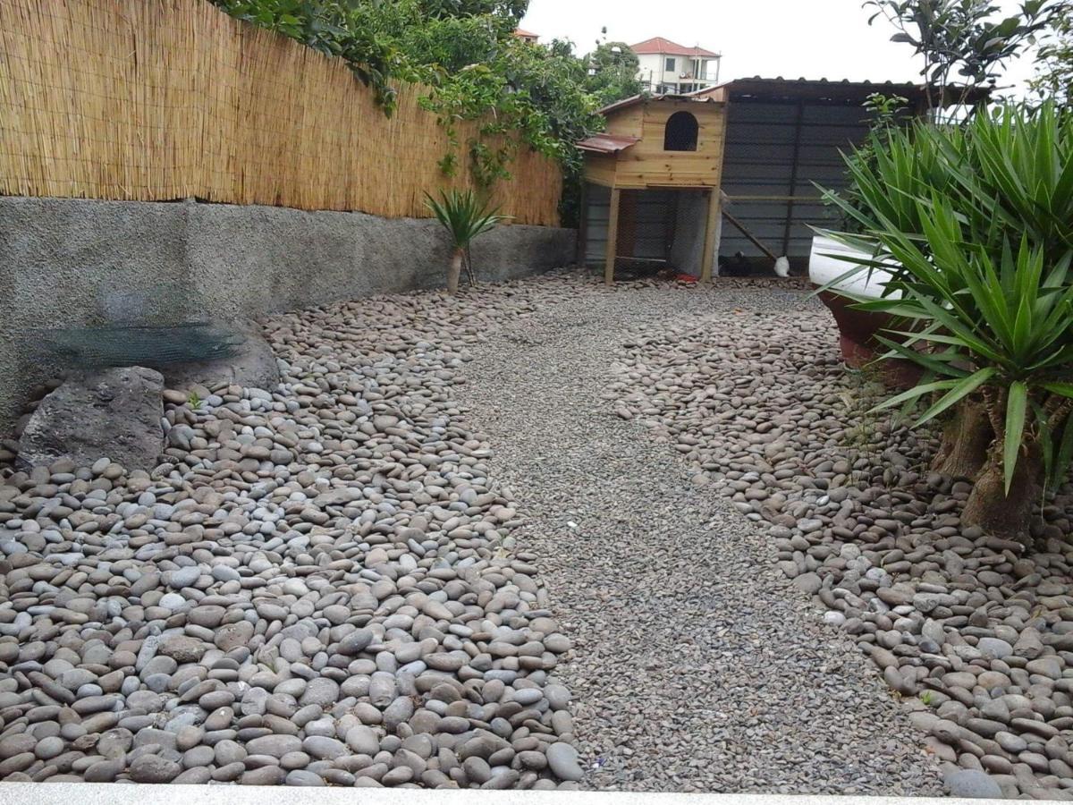 Cottage Quinze, Contemporary Designed Cottage With Swimming Pool Ponta Delgada  Bagian luar foto
