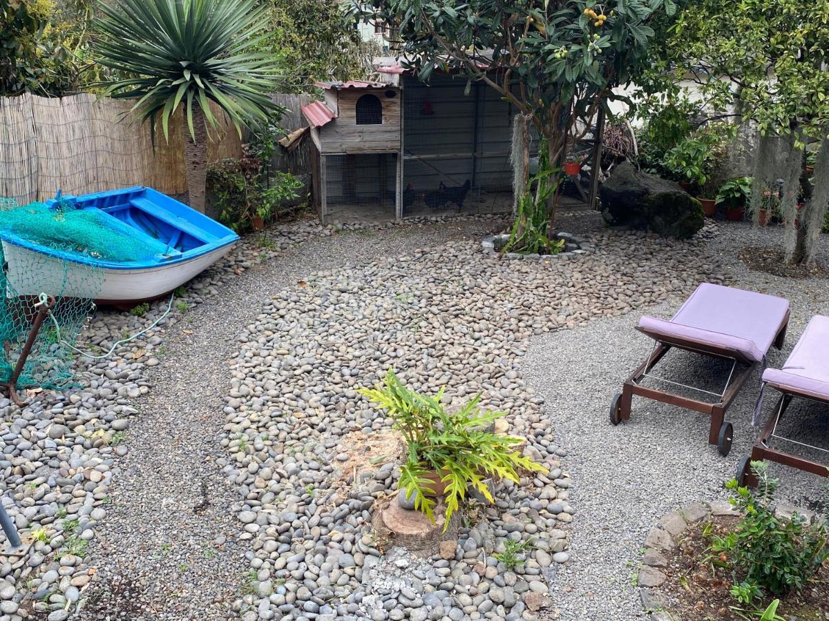 Cottage Quinze, Contemporary Designed Cottage With Swimming Pool Ponta Delgada  Bagian luar foto